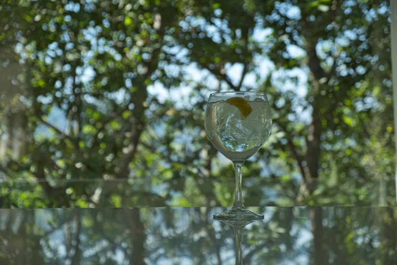 Oak Nature Vieira do Minho Zewnętrze zdjęcie