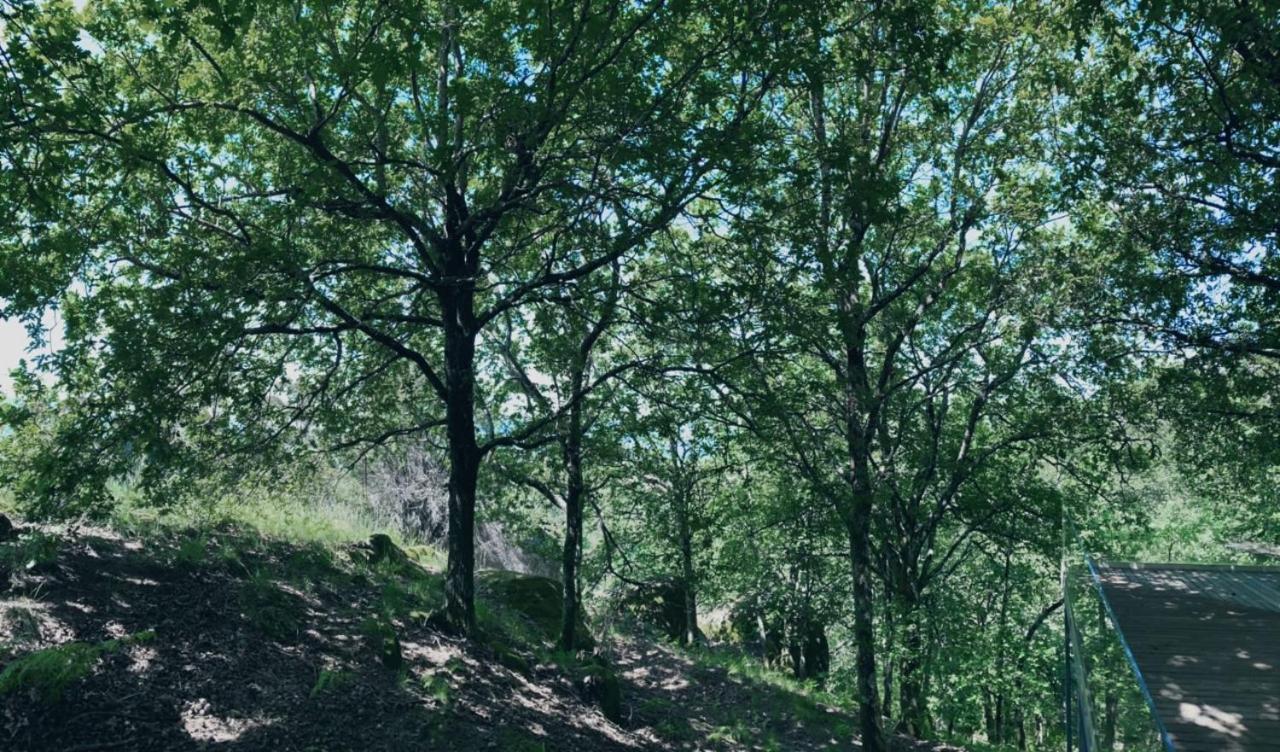 Oak Nature Vieira do Minho Zewnętrze zdjęcie